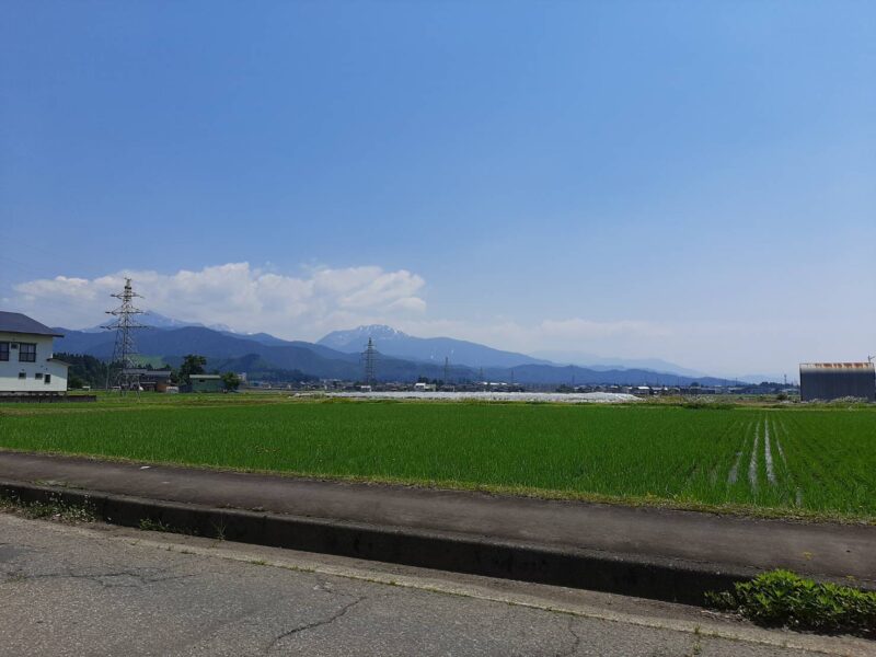 魚沼
